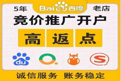 SEM托管公司案例分析：数据驱动决策